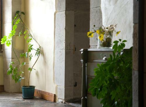 Bed & Breakfast Chambres D'h�tes Jauregia