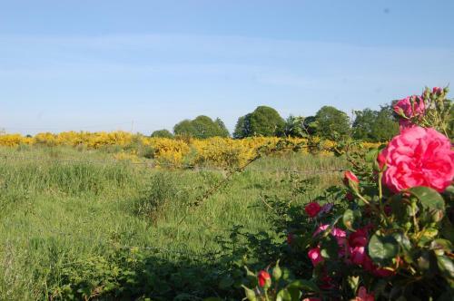 Bed & Breakfast Le Pont St Michel