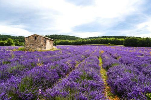 S�jour Cosy Et Petit D�jeuner, 4 Nuits Minimum