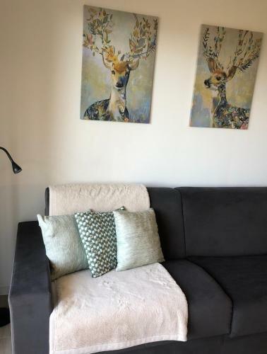Apartamento Auron Joli Appartement