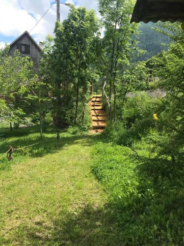 Apartamento La C�risola B46