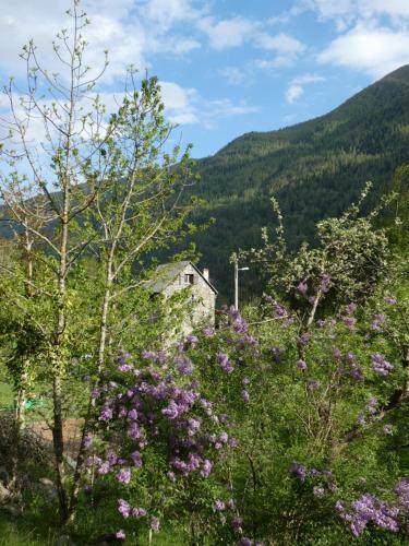 Apartamento La C�risola B46