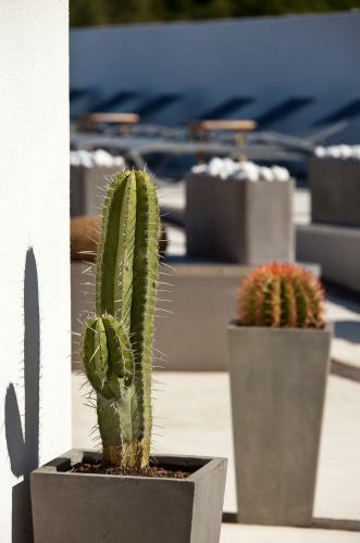 Hotel Lodge Sainte Helene