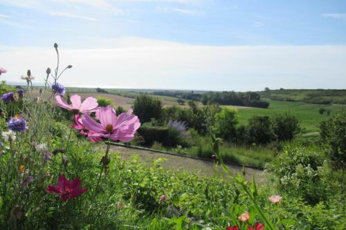 Le Panorama Entre Vignobles Et Estuaire