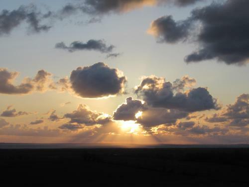 Le Panorama Entre Vignobles Et Estuaire