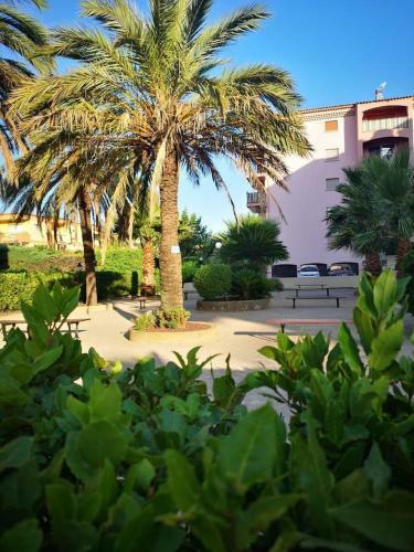 Apartamento La Palmeraie - Chapter 3