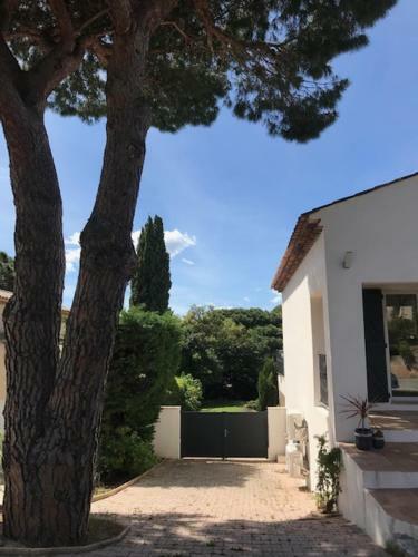 Apartamento Studio 36 M2 Ind�pendant Dans Villa Avec Piscine