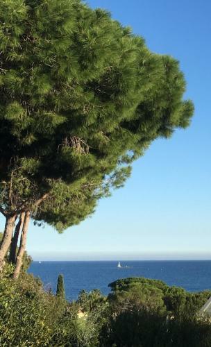 Bed & Breakfast Chambres D'h�tes Vue Mer Mer � 2 Min � Pied