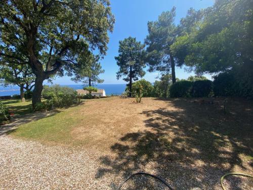 Villa Louise