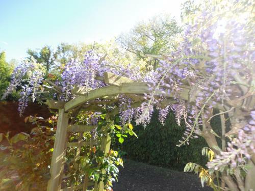 Hostal Domaine De La M�nigu�re