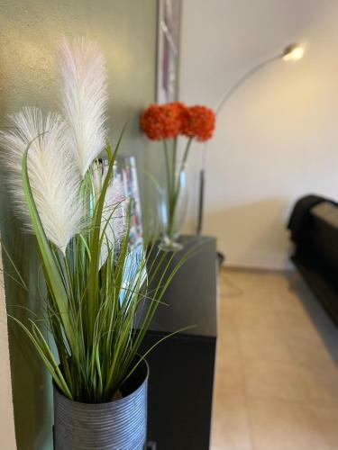 Apartamento Appartements Vue Mer