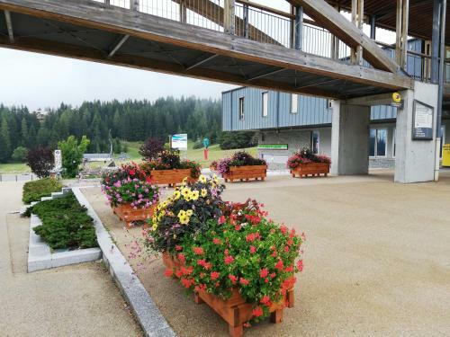 Apartamento Location Studio Superdevoluy Au Pied Des Pistes