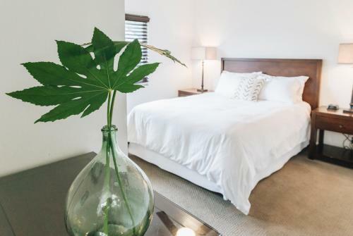 Sonoma's Best Guest Cottages