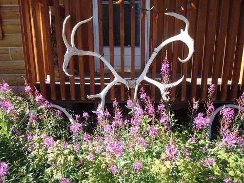 Antler's Rest Bed And Breakfast