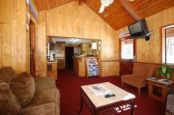 Motel In The Pines
