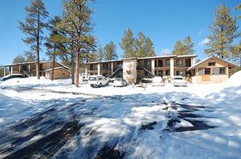 Motel In The Pines