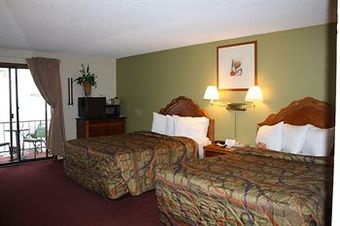Motel In The Pines