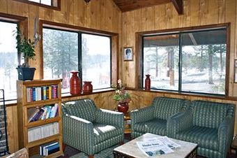 Motel In The Pines