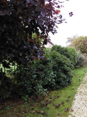 Bed & Breakfast Ode Au Bonheur St Georges Sur Cher