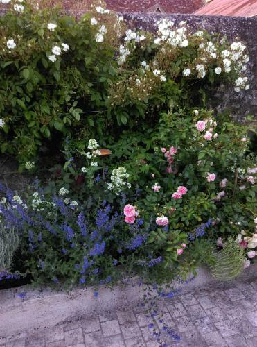 Bed & Breakfast Ode Au Bonheur St Georges Sur Cher