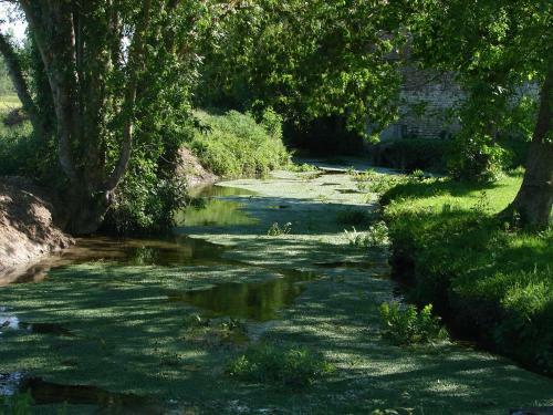 Apartamento Venez Respirer Au Coeur de La Charente Maritime