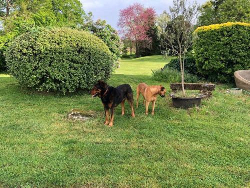 Ch�teau Le Noble Studio Ou Appartement