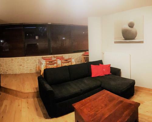 Liza's Apartment