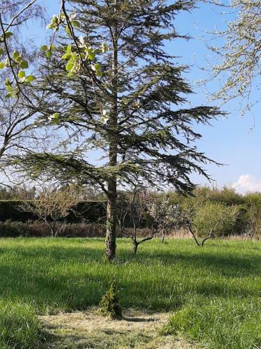 Le M�sang�te
