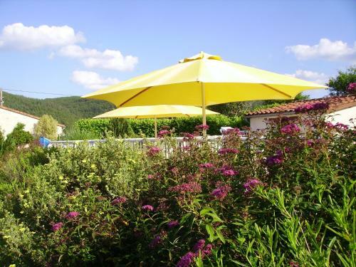 Bed & Breakfast Le Mas De La Pommeraie