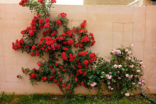 Villa Proven�ale Climatis�e Avec Piscine Priv�e