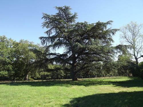Apartamento Manoir De L'aisnerie