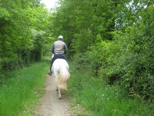 Bed & Breakfast Relais De Chasse La Chaignaie