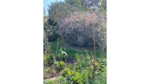 Apartamento Appartement Aux Sources De La Chabanne