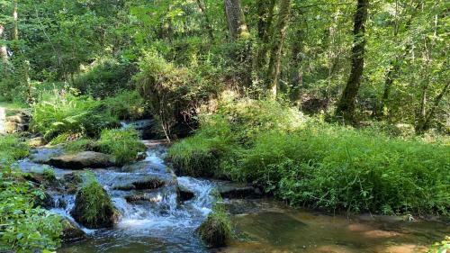 Apartamento Studio Aux Sources De La Chabanne