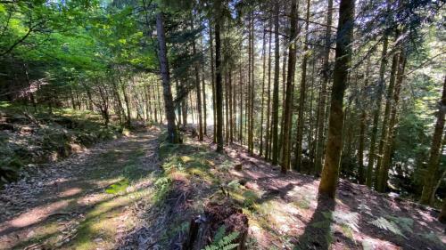 Apartamento Studio Aux Sources De La Chabanne