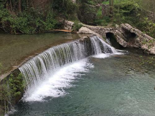 Bed & Breakfast Les Asphod�les