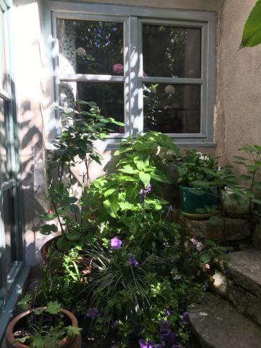Bed & Breakfast Les Asphod�les