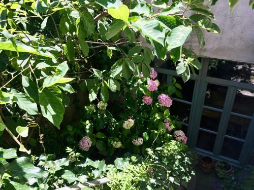 Bed & Breakfast Les Asphod�les