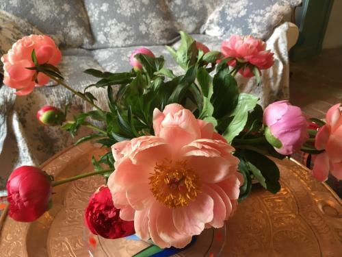 Bed & Breakfast Les Asphod�les
