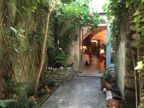 Bed & Breakfast Les Asphod�les