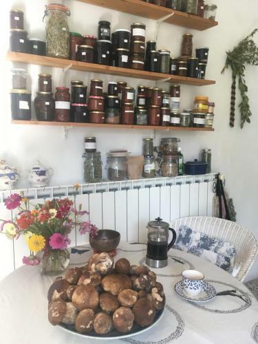 Bed & Breakfast Les Asphod�les