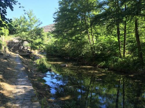 Bed & Breakfast Les Asphod�les
