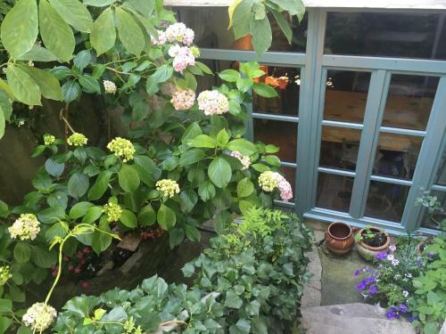 Bed & Breakfast Les Asphod�les
