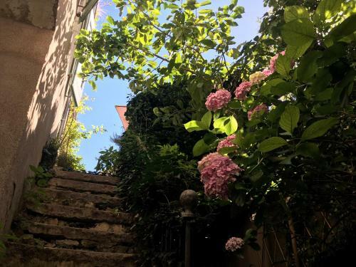 Bed & Breakfast Les Asphod�les