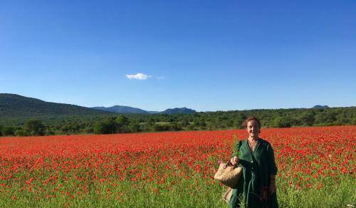 Bed & Breakfast Les Asphod�les