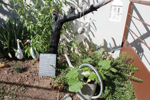Apartamento G�te Le Cep D'or Alsace