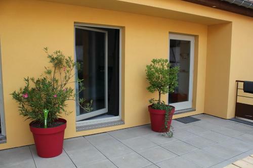 Hostal Maison D'h�tes Le Cep D'or Alsace