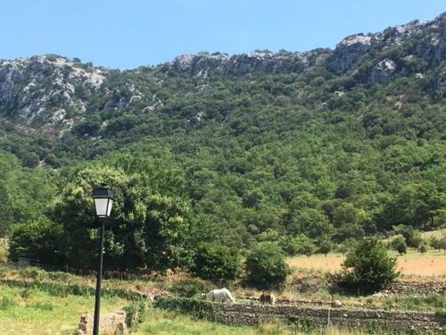 Bed & Breakfast Auberge De La Vallee