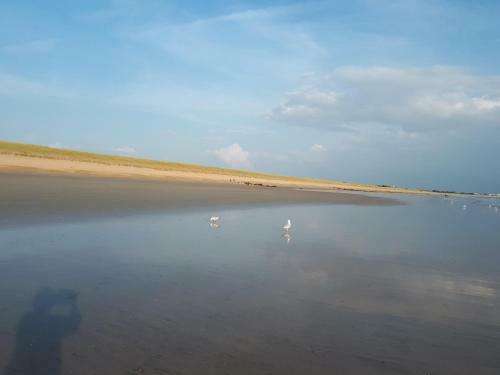 Bed & Breakfast Chambre Dans La Pin�de