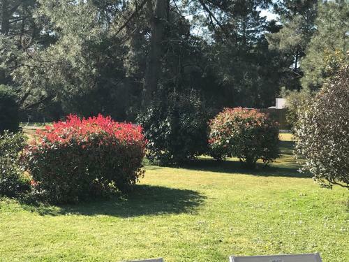 Bed & Breakfast Le 25 L'oc�an